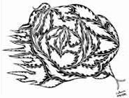 Cepia